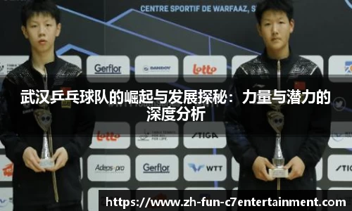 武汉乒乓球队的崛起与发展探秘：力量与潜力的深度分析